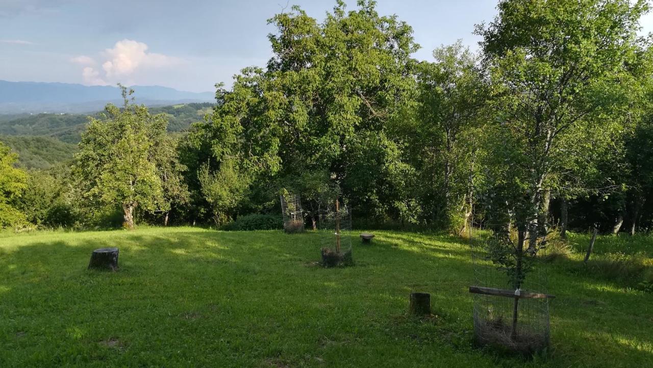 Barbara'S Village House Ilirska Bistrica Zewnętrze zdjęcie