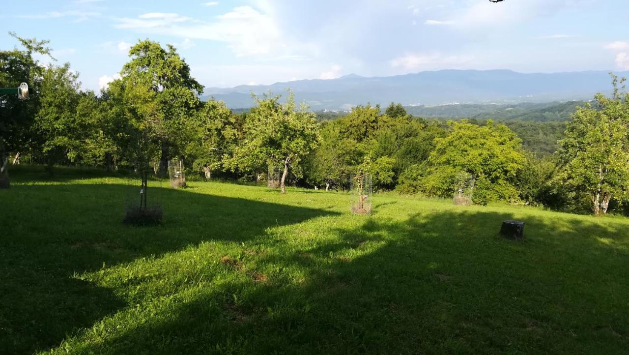 Barbara'S Village House Ilirska Bistrica Zewnętrze zdjęcie
